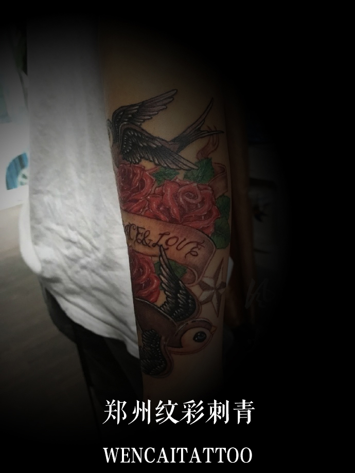 郑先生小臂传统燕子玫瑰彩色纹身图案